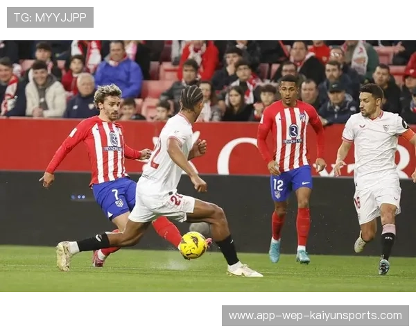 保利斯塔篮板球表现抢眼，巴西保利斯塔篮球联赛