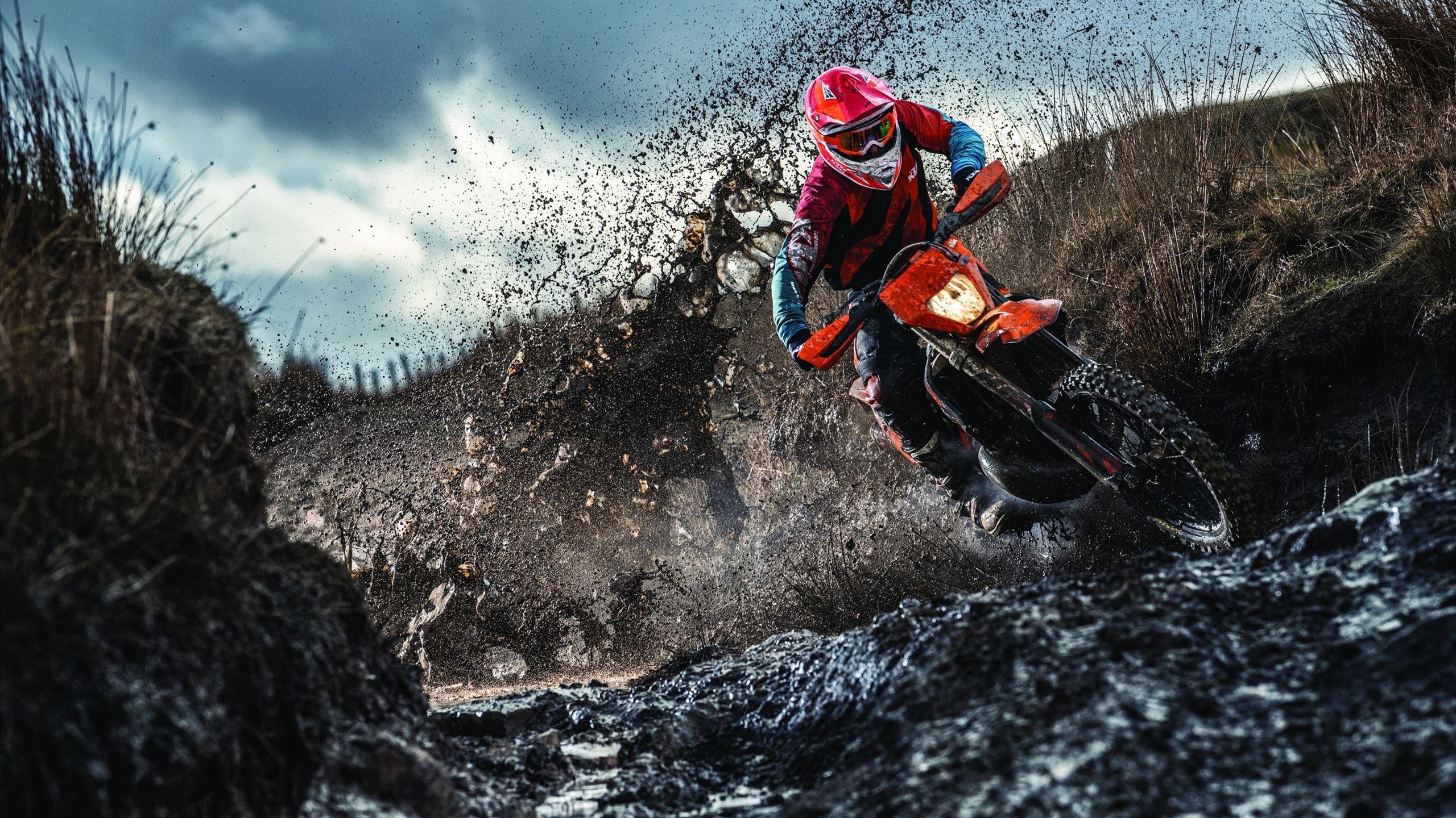 比利时蝶泳年轻选手潜力无限，比利时运动员